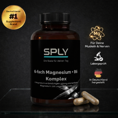 Magnesium 6x Komplex + B6 - 120 vegane Kapseln